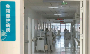 2025�o�����C�ύ����o���o����ȫ��ԇ�c